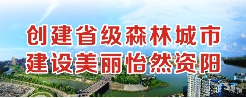 美乳逼逼逼逼骚逼逼逼逼逼创建省级森林城市 建设美丽怡然资阳